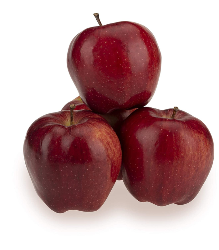 Untitled design (77)