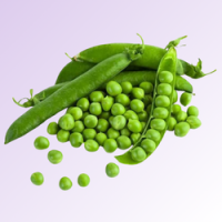 Add a subheading (250 x 250 px) (29)