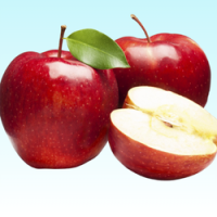 Add a subheading (250 x 250 px) (38)